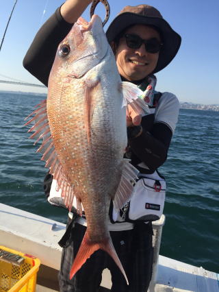 真鯛サビキ　明石鯛釣り　爆釣り