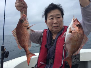 真鯛釣り　明石鯛　鯛サビキ