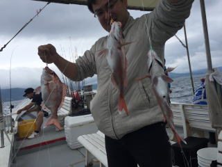 真鯛釣り 明石鯛 鯛サビキ
