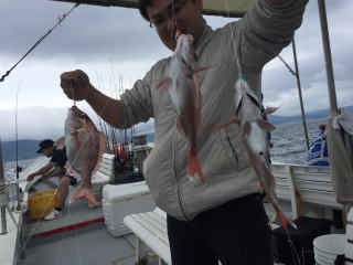 真鯛釣り　明石鯛　鯛サビキ