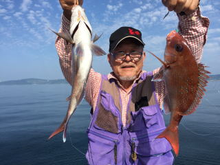 真鯛釣り　明石鯛　鯛サビキ