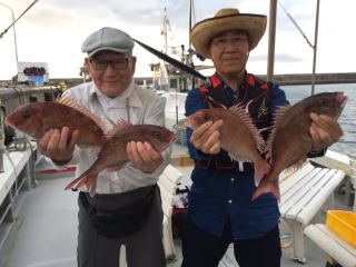 真鯛釣り　爆釣