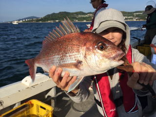 真鯛釣り　爆釣