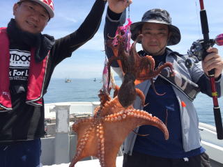 たこエギ　タコ餌木　真蛸釣り