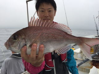 明石鯛　真鯛サビキ　鯛釣り