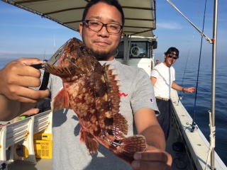 喰わせサビキ　イワシの落とし込み　泳がせ釣り