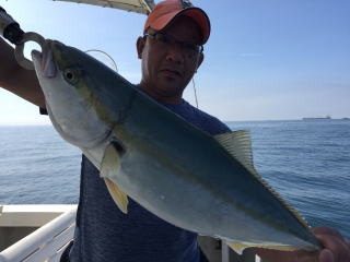 喰わせサビキ イワシの落とし込み 泳がせ釣り