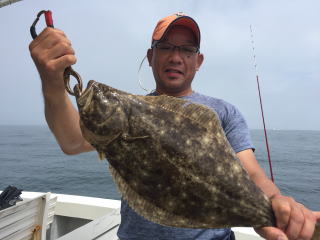 喰わせサビキ イワシの落とし込み 泳がせ釣り