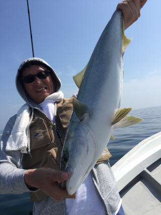 落とし込み　イワシの喰わせ釣り青物」