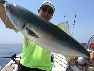 落とし込み　イワシの喰わせ釣り青物」