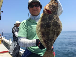 落とし込み　イワシの喰わせ釣り青物ヒラメ