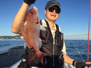 イワシの落とし込み　喰わせ釣り　真鯛　青物　鰤