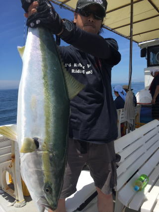 イワシの落とし込み　喰わせ釣り　青物　鰤