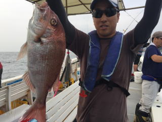 イワシの落とし込み　喰わせサビキ　青物　真鯛アコウ