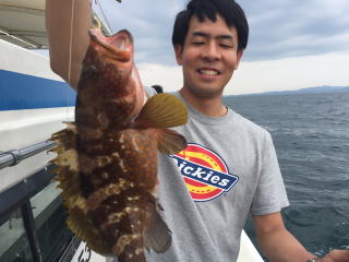 イワシの落とし込み　喰わせサビキ　青物　真鯛アコウ