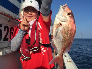 喰わせサビキ　ヒラメ　真鯛　青物　根魚　釣果