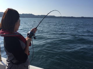 喰わせサビキ　ヒラメ　真鯛　青物　根魚　釣果