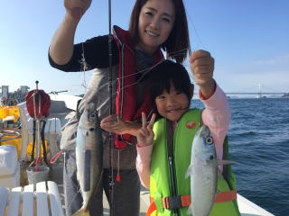 喰わせサビキ　ヒラメ　真鯛　青物　根魚　釣果