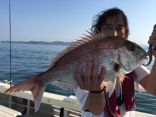 喰わせサビキ　イワシの落とし込み　真鯛