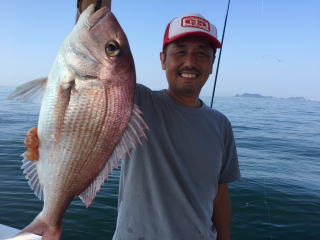 喰わせサビキ　イワシの落とし込み　鯛釣り