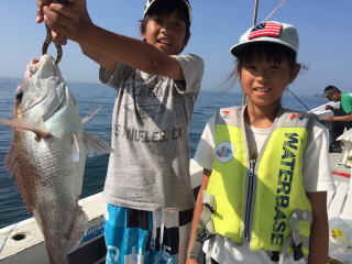 喰わせサビキ　イワシの落とし込み　鯛