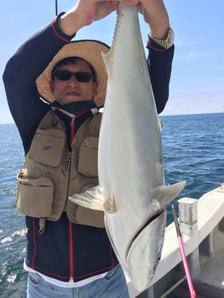 イワシの喰わせ釣り ブリ