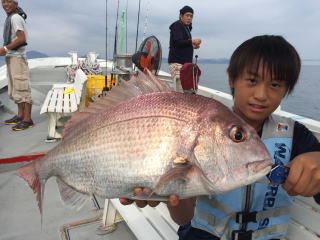 イワシの落とし込み 喰わせサビキで五目釣り