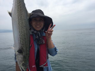 イワシの落とし込み 喰わせサビキで五目釣り
