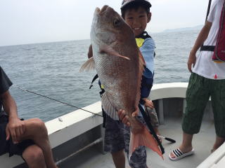 イワシの落とし込み 喰わせサビキで五目釣り