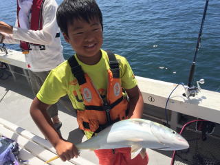 イワシの泳がせ釣り　喰わせサビキ釣り　落とし込み