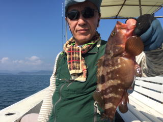 アンダーベイト喰わせサビキ イワシの落とし込み アコウ