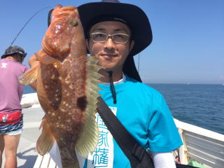 アコウ釣り アンダーベイト喰わせサビキ イワシの落とし込み