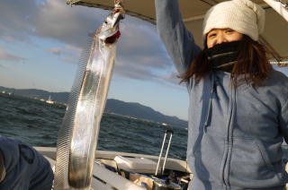 洲本沖　太刀魚