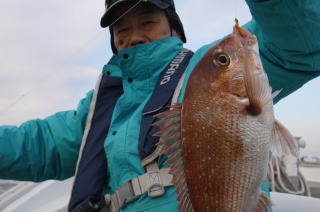 タイサビキ　鯛サビキ