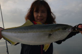 ハマチ釣り