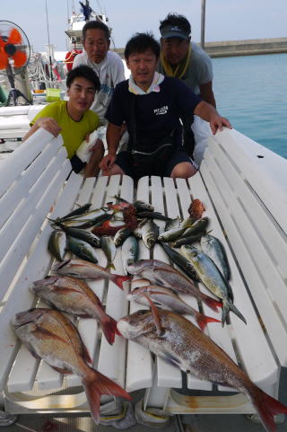 イワシの喰わせサビキ釣果