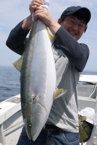 鰯の落とし込み喰わせ釣り　ブリ　鰤