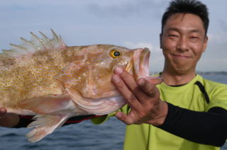 喰わせサビキ釣り