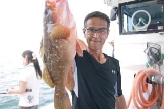 アコウ喰わせ釣り