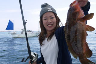 アコウ釣り　イワシの掛からし釣り