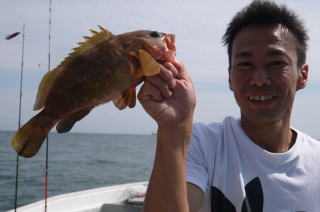 アコウ釣り　喰わせサビキ