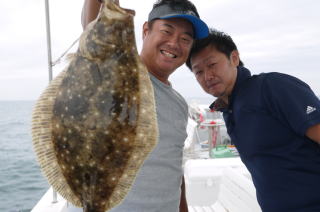 イワシの掛からし釣りヒラメ