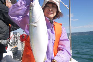 メジロ釣り　飲ませ