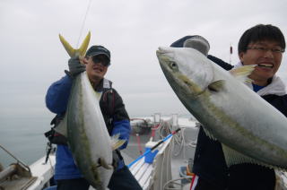 鰤ダブル釣果