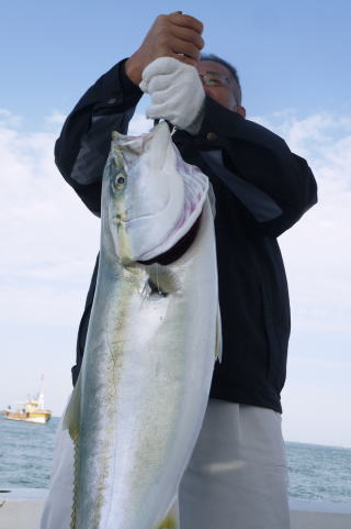 ブリ釣り釣果　呑ませ釣り