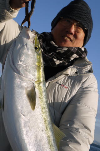 大物釣り青物ブリ　メジロ