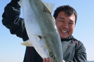 青物　鰤釣果