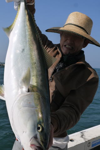 鰤　釣り