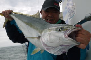 泳がせ釣り　青物