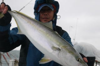 呑ませ青物釣り